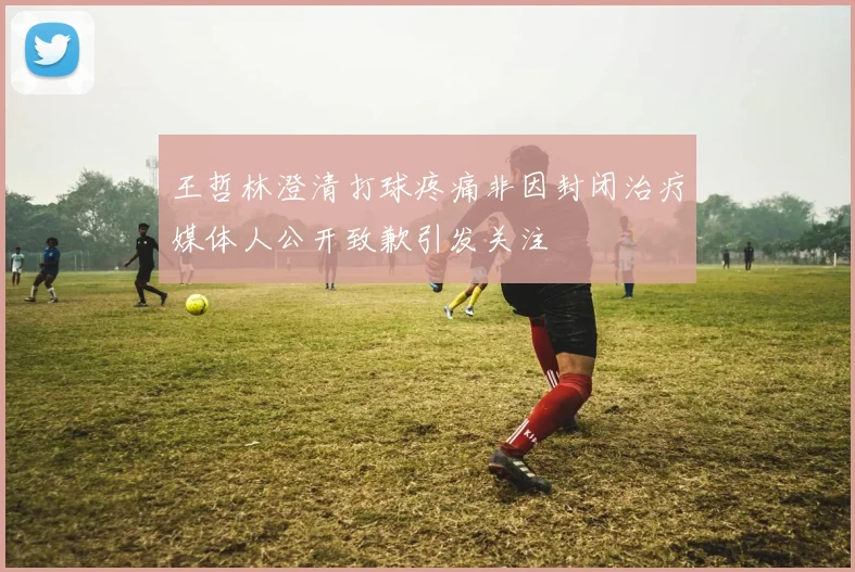 王哲林澄清打球疼痛非因封闭治疗媒体人公开致歉引发关注
