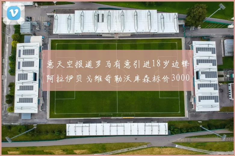 意天空报道罗马有意引进18岁边锋阿拉伊贝戈维奇勒沃库森标价3000万欧元
